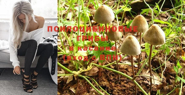 a pvp Бугульма