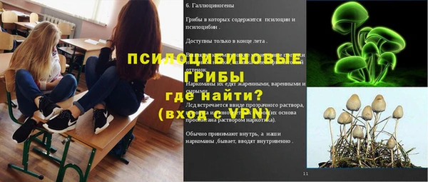 соль ск Бронницы