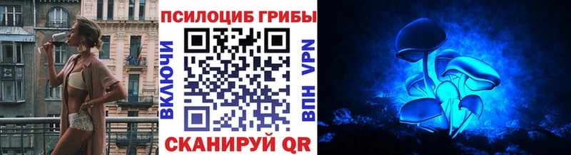 Галлюциногенные грибы Cubensis  Сретенск 